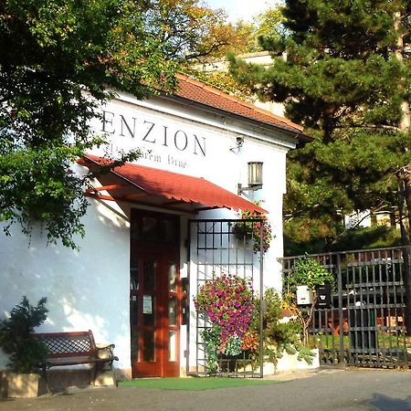 Penzion Na Starem Brne Brno Esterno foto